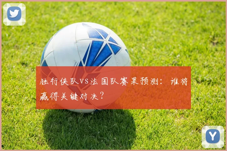 独行侠队vs法国队赛果预测:谁将赢得关键对决?
